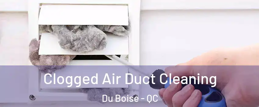  Clogged Air Duct Cleaning Du Boise - QC