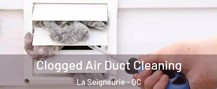  Clogged Air Duct Cleaning La Seigneurie - QC