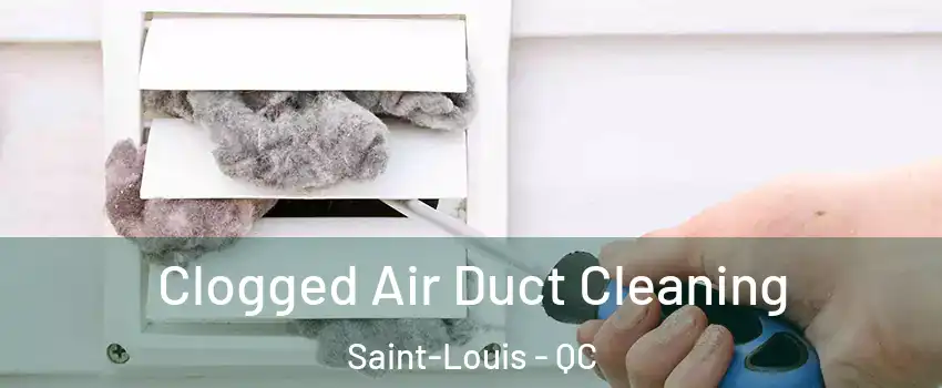 Clogged Air Duct Cleaning Saint-Louis - QC
