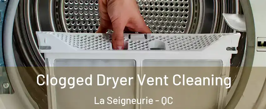  Clogged Dryer Vent Cleaning La Seigneurie - QC