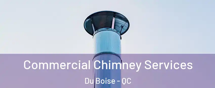  Commercial Chimney Services Du Boise - QC