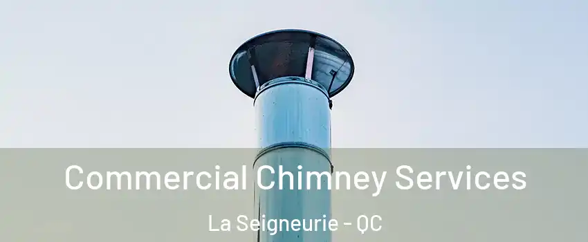  Commercial Chimney Services La Seigneurie - QC
