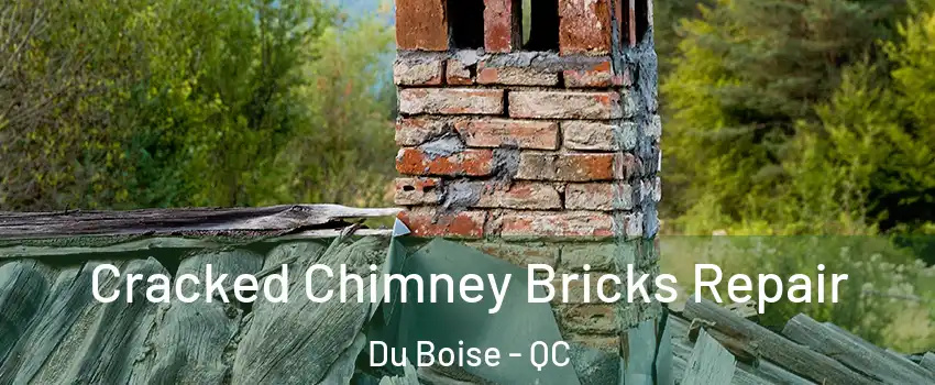  Cracked Chimney Bricks Repair Du Boise - QC
