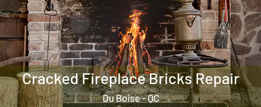  Cracked Fireplace Bricks Repair Du Boise - QC