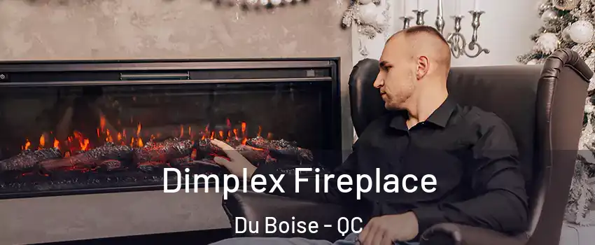  Dimplex Fireplace Du Boise - QC