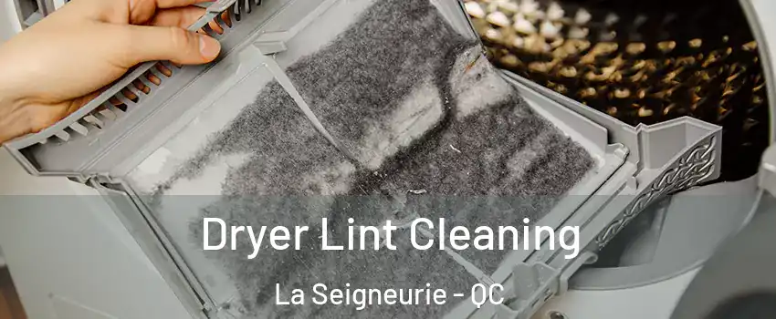  Dryer Lint Cleaning La Seigneurie - QC