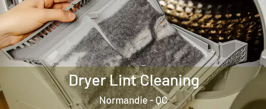  Dryer Lint Cleaning Normandie - QC