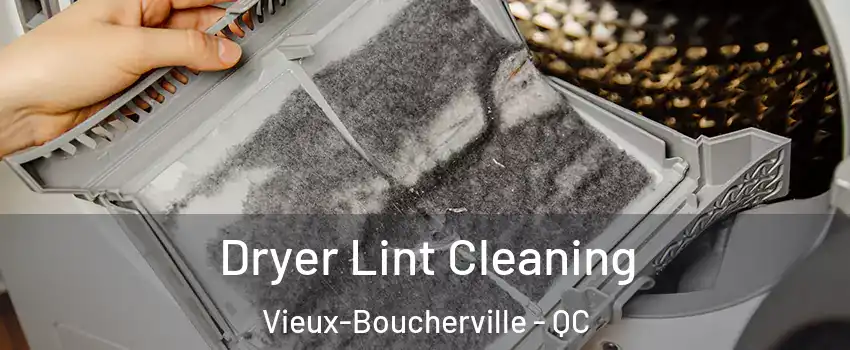  Dryer Lint Cleaning Vieux-Boucherville - QC