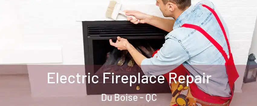 Electric Fireplace Repair Du Boise - QC