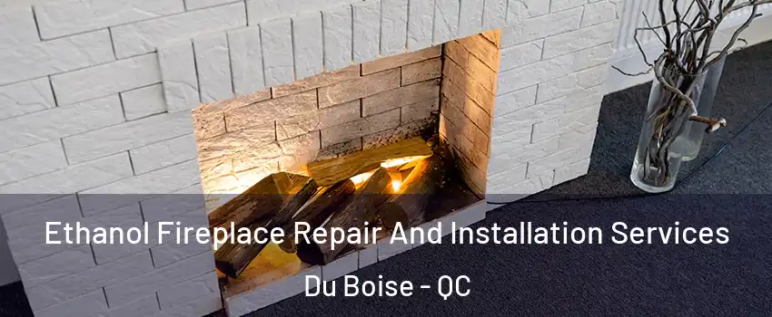  Ethanol Fireplace Repair And Installation Services Du Boise - QC