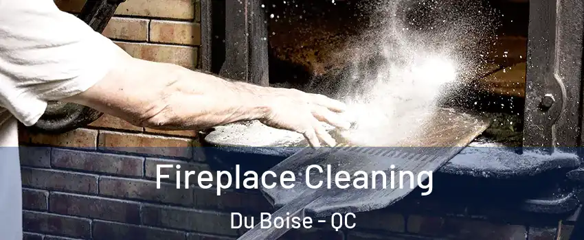  Fireplace Cleaning Du Boise - QC