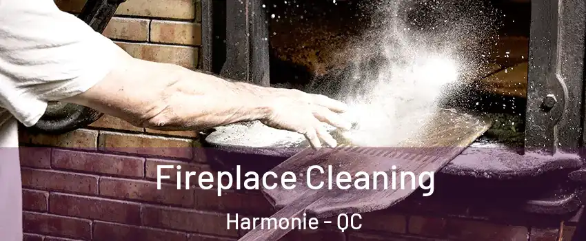  Fireplace Cleaning Harmonie - QC