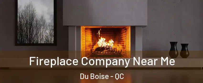  Fireplace Company Near Me Du Boise - QC