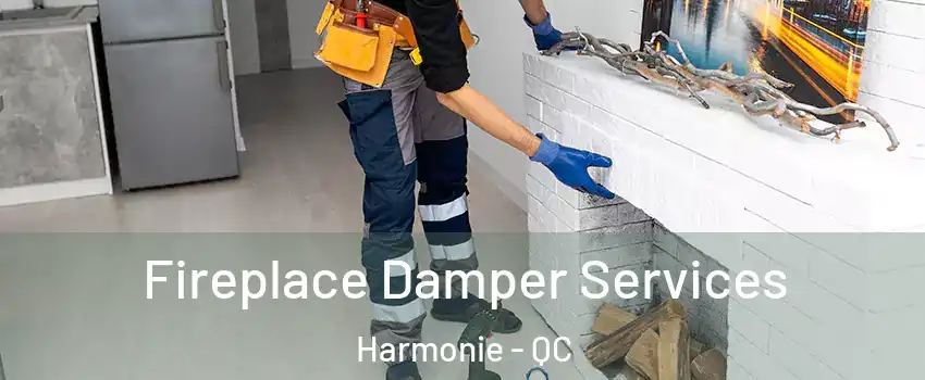  Fireplace Damper Services Harmonie - QC