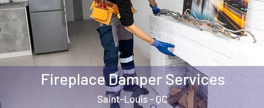  Fireplace Damper Services Saint-Louis - QC