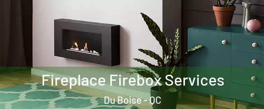  Fireplace Firebox Services Du Boise - QC