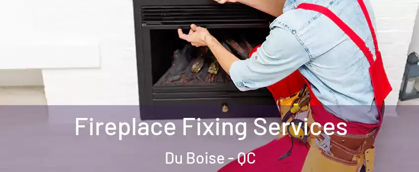  Fireplace Fixing Services Du Boise - QC