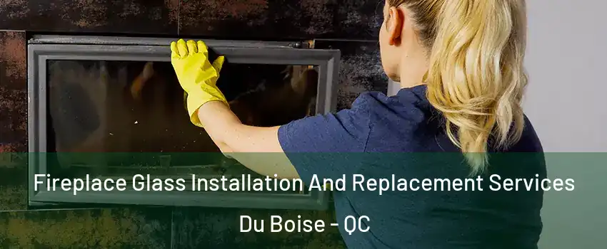  Fireplace Glass Installation And Replacement Services Du Boise - QC