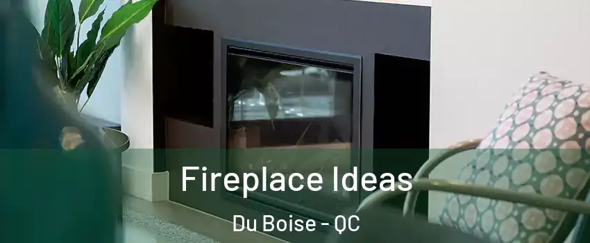  Fireplace Ideas Du Boise - QC