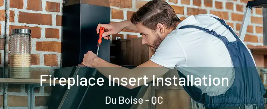  Fireplace Insert Installation Du Boise - QC