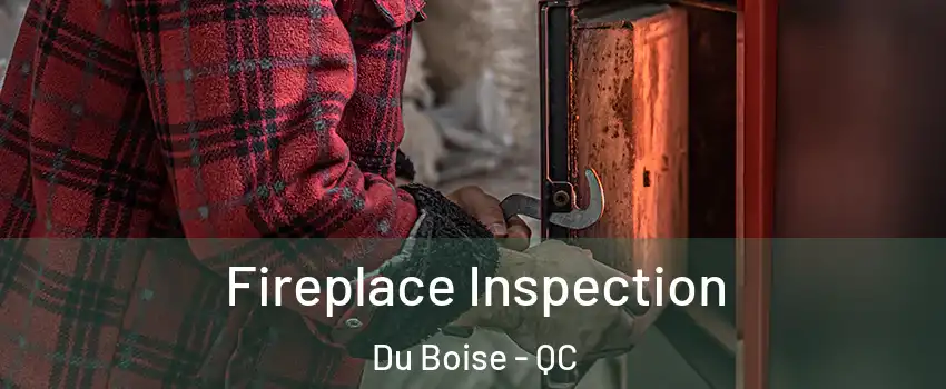  Fireplace Inspection Du Boise - QC