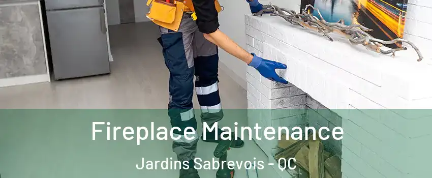  Fireplace Maintenance Jardins Sabrevois - QC