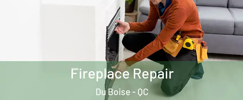 Fireplace Repair Du Boise - QC
