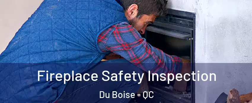  Fireplace Safety Inspection Du Boise - QC