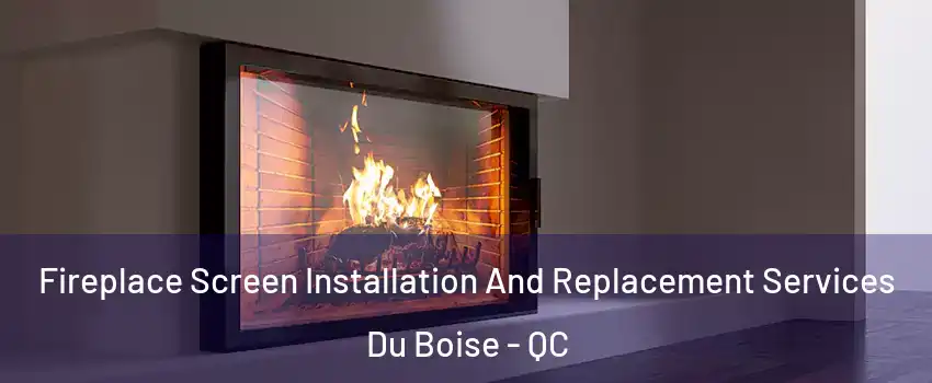 Fireplace Screen Installation And Replacement Services Du Boise - QC
