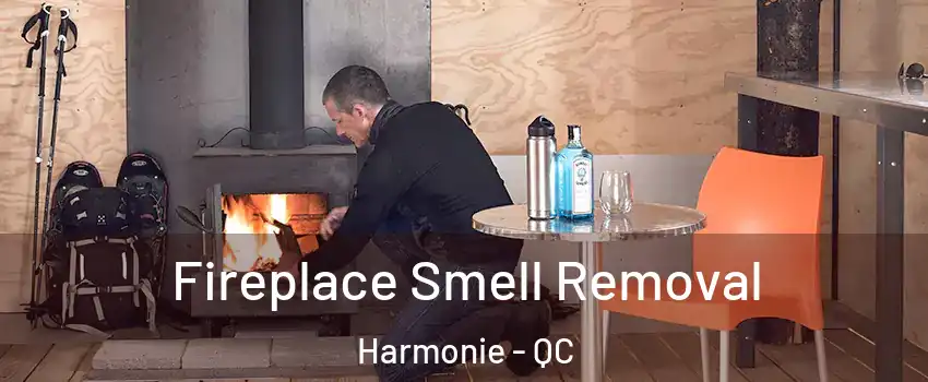  Fireplace Smell Removal Harmonie - QC
