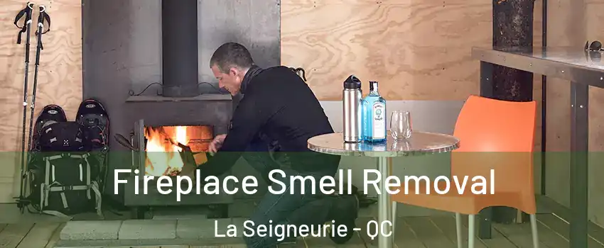 Fireplace Smell Removal La Seigneurie - QC