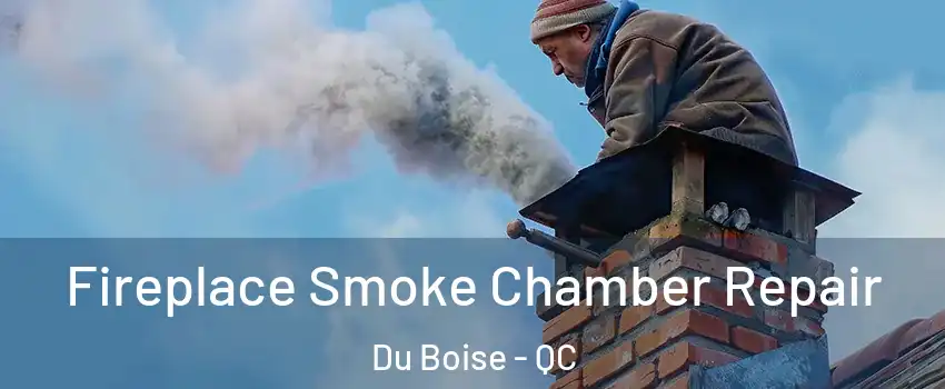  Fireplace Smoke Chamber Repair Du Boise - QC