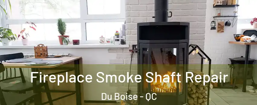  Fireplace Smoke Shaft Repair Du Boise - QC
