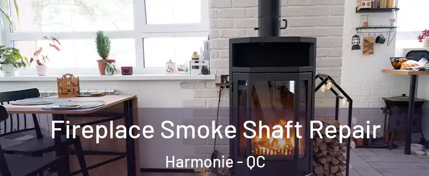  Fireplace Smoke Shaft Repair Harmonie - QC