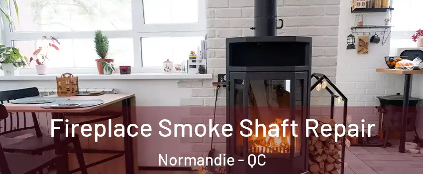  Fireplace Smoke Shaft Repair Normandie - QC