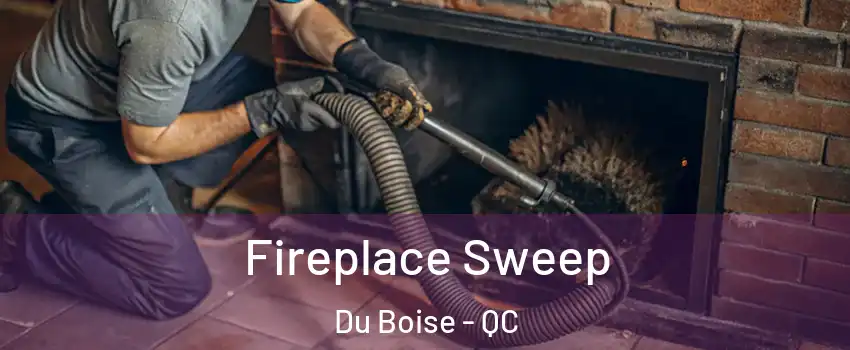  Fireplace Sweep Du Boise - QC
