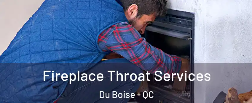  Fireplace Throat Services Du Boise - QC