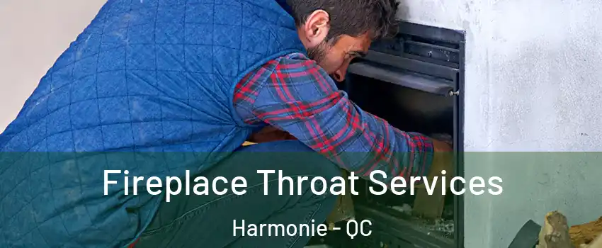  Fireplace Throat Services Harmonie - QC