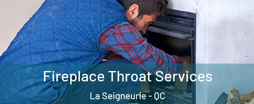  Fireplace Throat Services La Seigneurie - QC