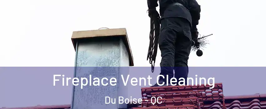  Fireplace Vent Cleaning Du Boise - QC