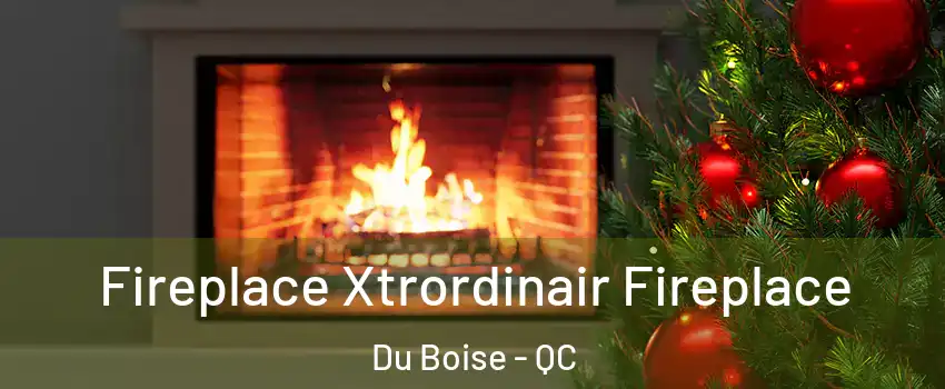 Fireplace Xtrordinair Fireplace Du Boise - QC