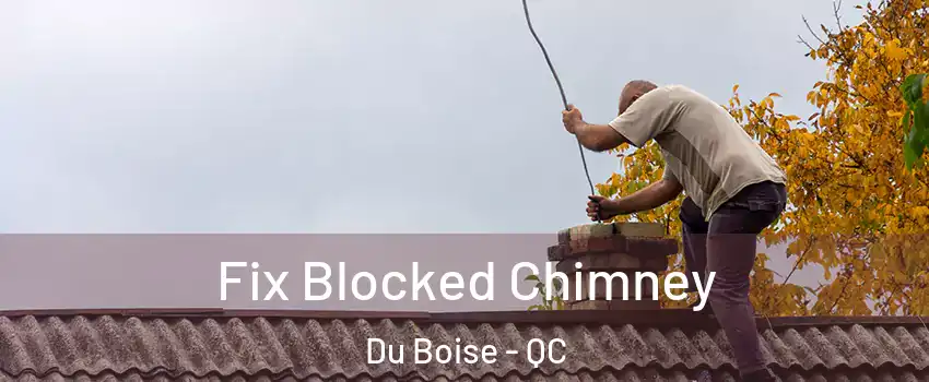  Fix Blocked Chimney Du Boise - QC