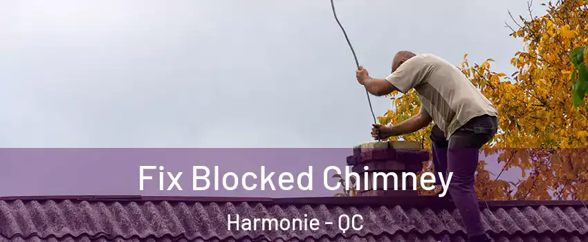  Fix Blocked Chimney Harmonie - QC
