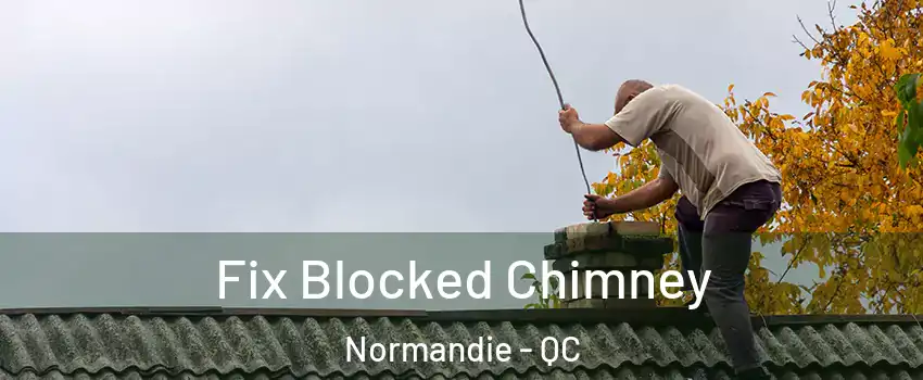  Fix Blocked Chimney Normandie - QC