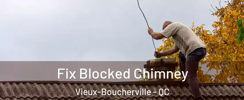  Fix Blocked Chimney Vieux-Boucherville - QC