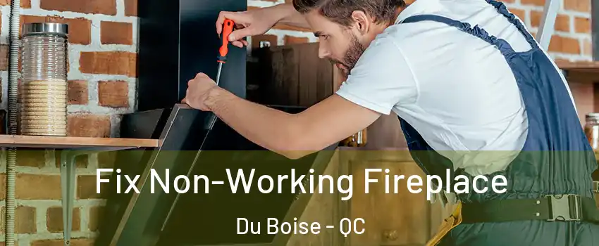  Fix Non-Working Fireplace Du Boise - QC