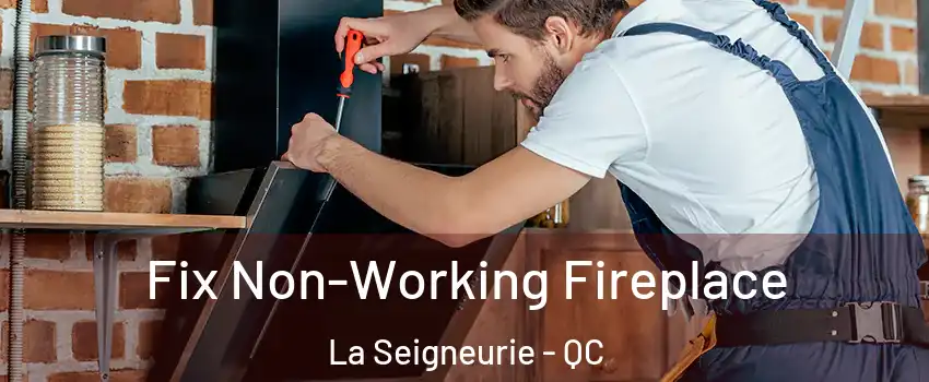  Fix Non-Working Fireplace La Seigneurie - QC