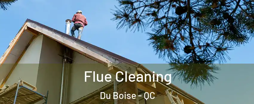  Flue Cleaning Du Boise - QC