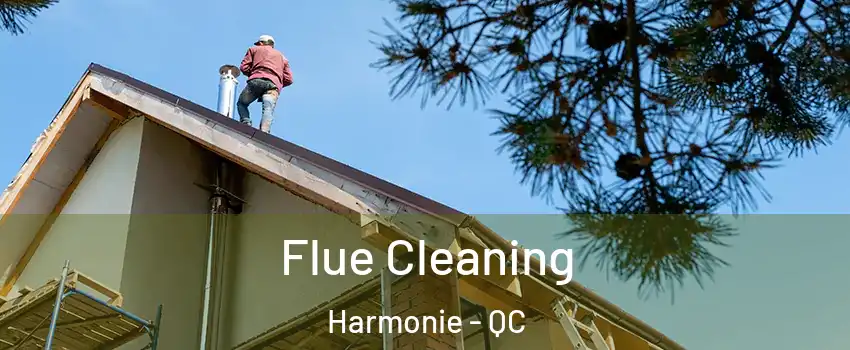  Flue Cleaning Harmonie - QC