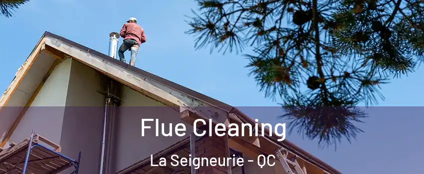  Flue Cleaning La Seigneurie - QC